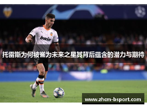 托雷斯为何被誉为未来之星其背后蕴含的潜力与期待