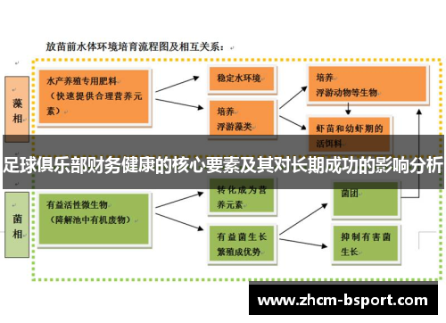 足球俱乐部财务健康的核心要素及其对长期成功的影响分析